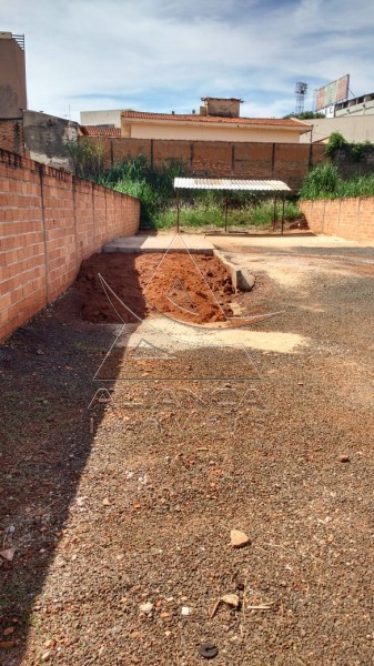 Terreno - Jardim Palma Travassos - Ribeirão Preto