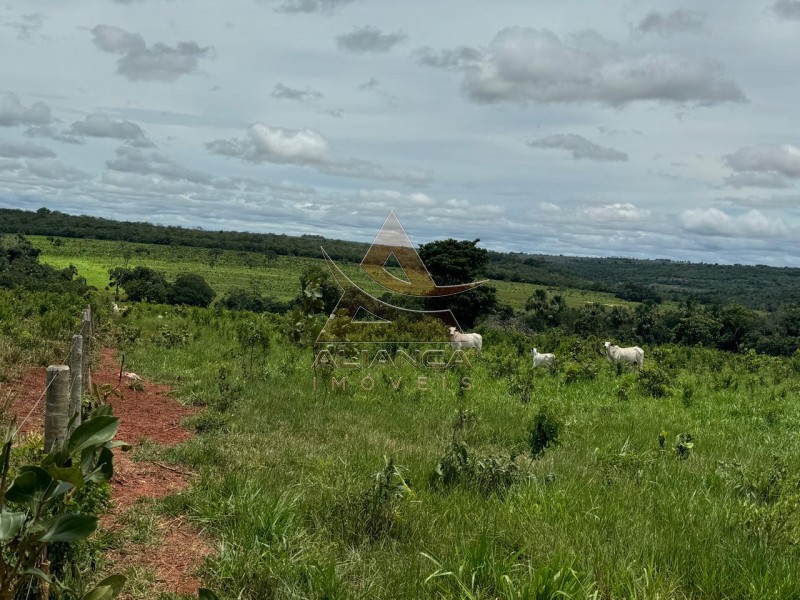 Aliança Imóveis - Imobiliária em Ribeirão Preto - SP - Fazenda  - Zona Rural - Primavera do Leste