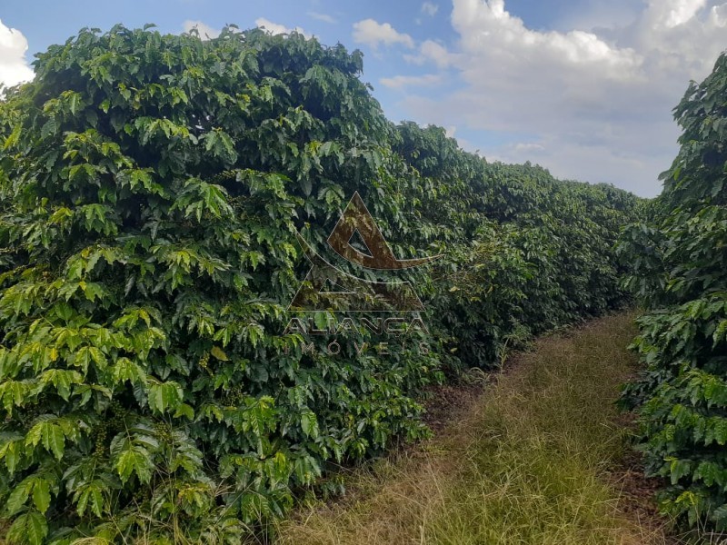 Aliança Imóveis - Imobiliária em Ribeirão Preto - SP - Fazenda  - Zona Rural - Itirapuã