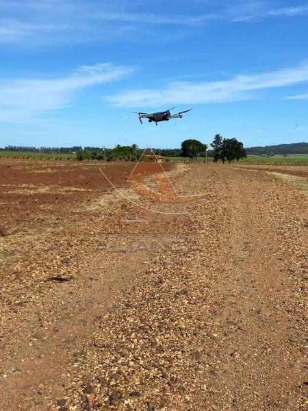 Aliança Imóveis - Imobiliária em Ribeirão Preto - SP - Fazenda  - Zona Rural - São Manuel 