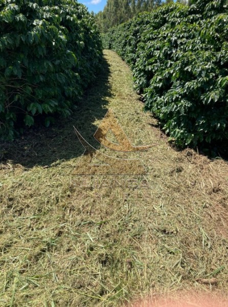 Aliança Imóveis - Imobiliária em Ribeirão Preto - SP - Fazenda  - Zona Rural - Cristais
