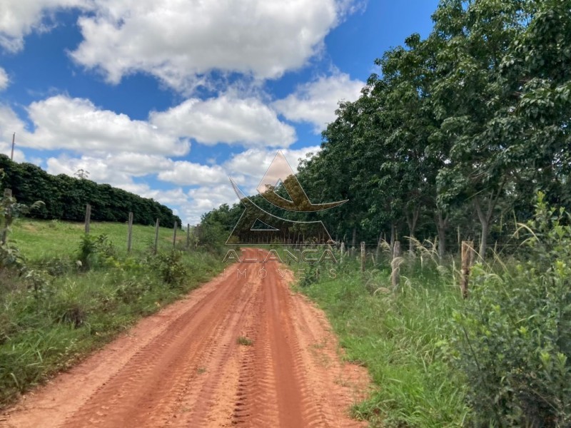 Aliança Imóveis - Imobiliária em Ribeirão Preto - SP - Fazenda  - Zona Rural - Cristais