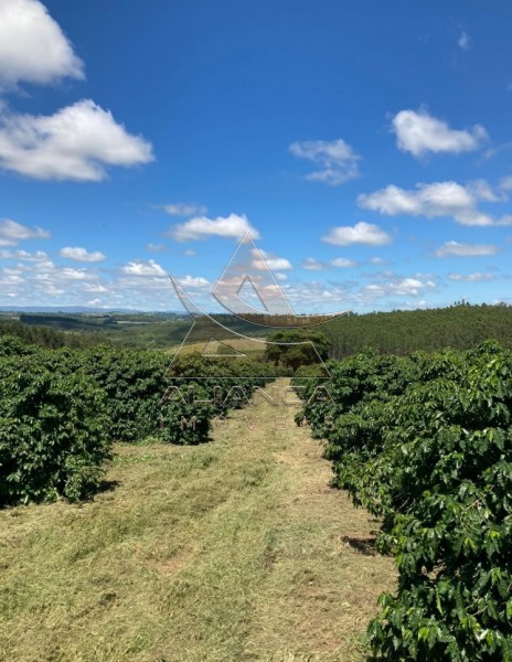 Aliança Imóveis - Imobiliária em Ribeirão Preto - SP - Fazenda  - Zona Rural - Cristais