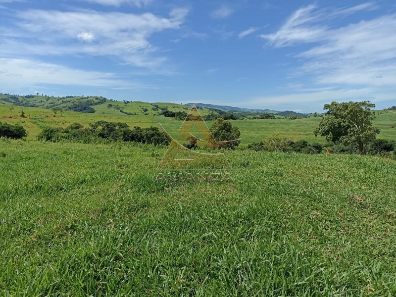 Aliança Imóveis - Imobiliária em Ribeirão Preto - SP - Fazenda  - Zona Rural - Itapira