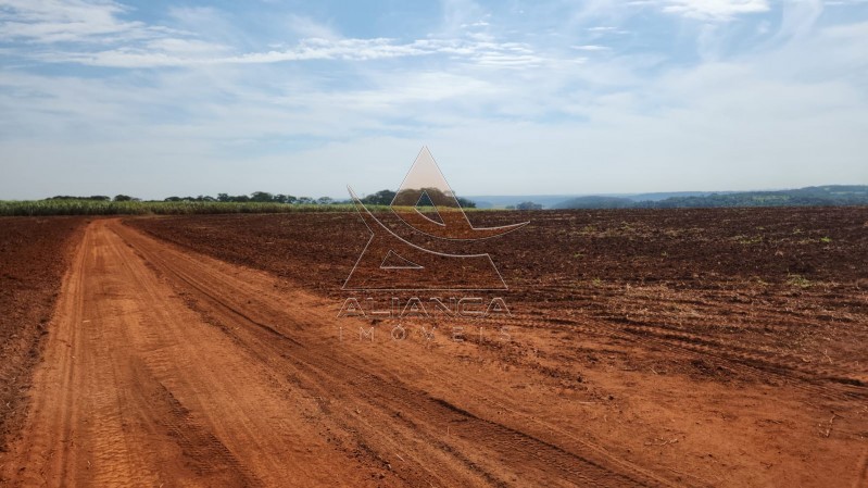 Aliança Imóveis - Imobiliária em Ribeirão Preto - SP - Fazenda  - Zona Rural - Ribeirão Bonito 
