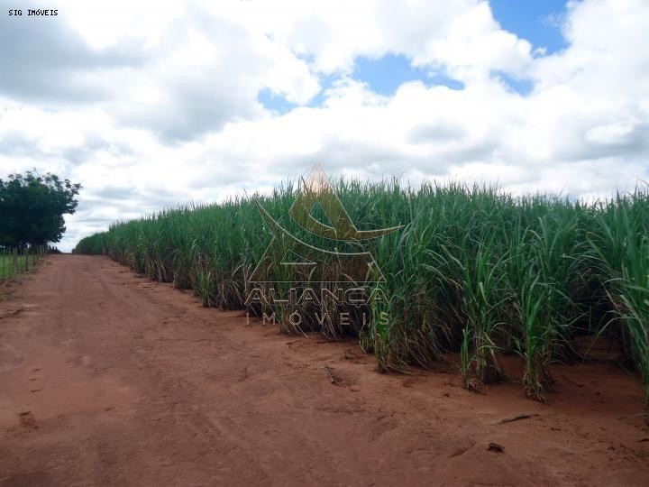 Aliança Imóveis - Imobiliária em Ribeirão Preto - SP - Fazenda  - Zona Rural - Rancharia 