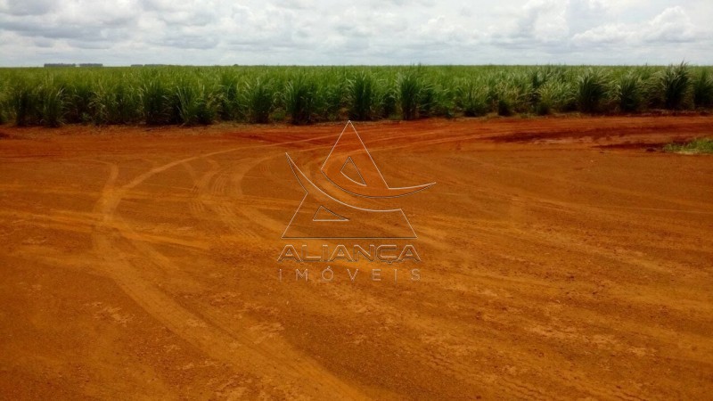 Aliança Imóveis - Imobiliária em Ribeirão Preto - SP - Fazenda  - Zona Rural - Rancharia 