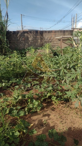 Aliança Imóveis - Imobiliária em Ribeirão Preto - SP - Terreno - Jardim Santa Cecília - Bonfim Paulista