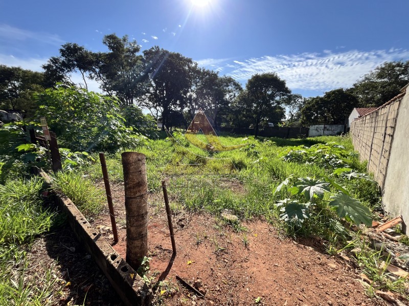Terreno - Portal dos Ipês - Ribeirão Preto
