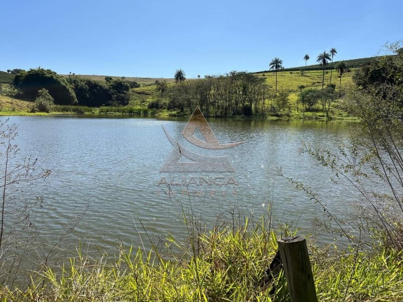 Aliança Imóveis - Imobiliária em Ribeirão Preto - SP - Fazenda  - Zona Rural - São João da Boa Vista