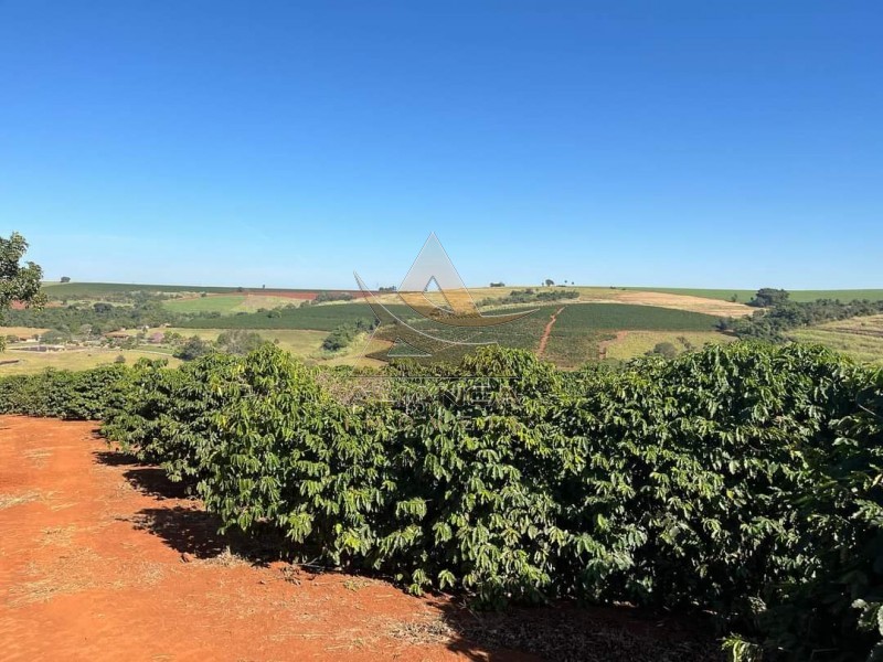 Aliança Imóveis - Imobiliária em Ribeirão Preto - SP - Fazenda  - Zona Rural - São João da Boa Vista