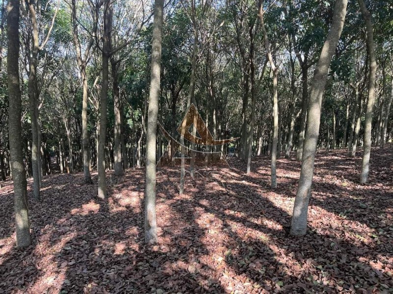 Aliança Imóveis - Imobiliária em Ribeirão Preto - SP - Fazenda  - Zona Rural - São João da Boa Vista