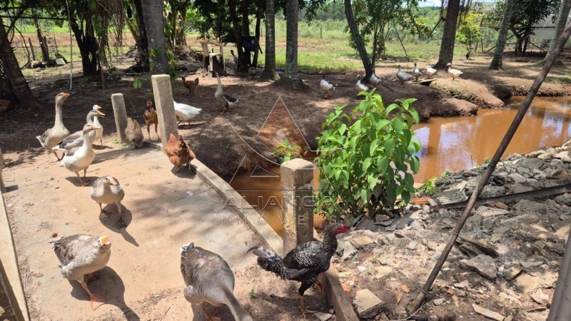 Aliança Imóveis - Imobiliária em Ribeirão Preto - SP - Sítio - Zona Rural - São Carlos