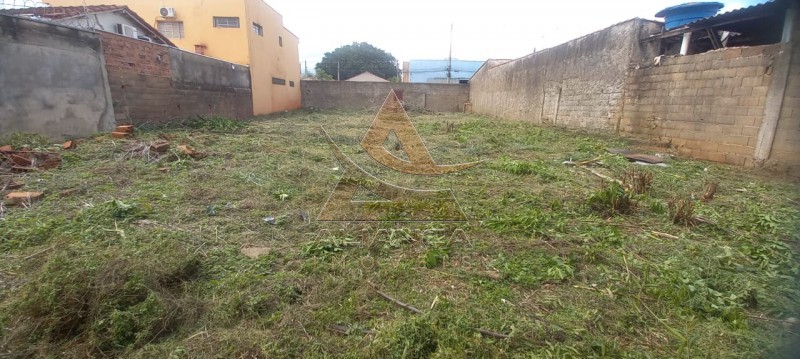 Terreno - Vila Mariana - Ribeirão Preto
