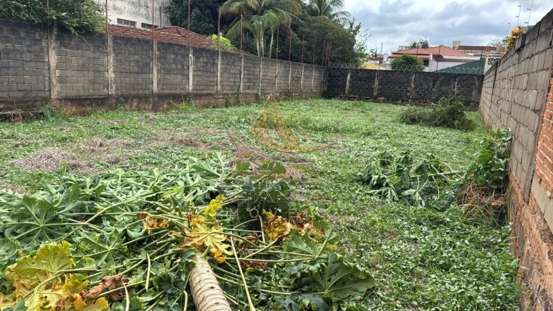 Aliança Imóveis - Imobiliária em Ribeirão Preto - SP - Terreno - Alto da Boa Vista - Ribeirão Preto