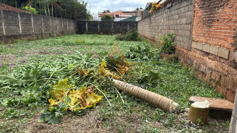 Terreno - Alto da Boa Vista - Ribeirão Preto