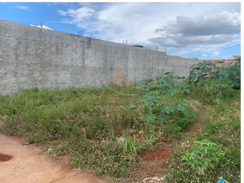 Aliança Imóveis - Imobiliária em Ribeirão Preto - SP - Terreno - Cristo Redentor - Ribeirão Preto