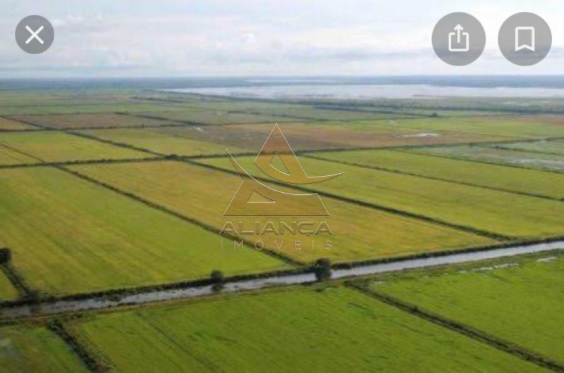 Aliança Imóveis - Imobiliária em Ribeirão Preto - SP - Fazenda  - Zona Rural - Formoso do Araguaia