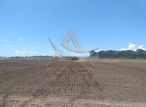 Fazenda  - Zona Rural - Formoso do Araguaia