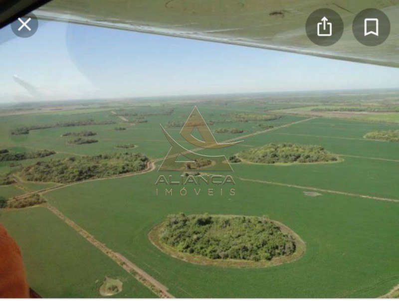 Aliança Imóveis - Imobiliária em Ribeirão Preto - SP - Fazenda  - Zona Rural - Formoso do Araguaia