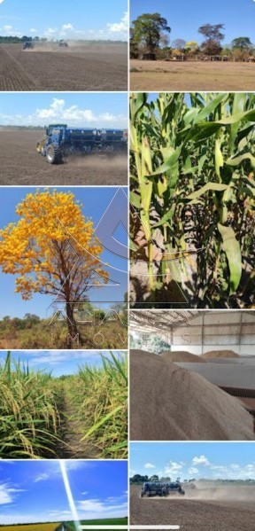 Aliança Imóveis - Imobiliária em Ribeirão Preto - SP - Fazenda  - Zona Rural - Formoso do Araguaia