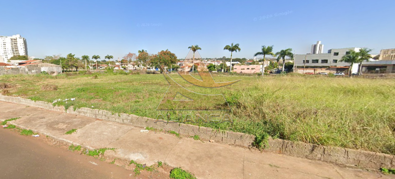 Aliança Imóveis - Imobiliária em Ribeirão Preto - SP - Terreno - Vila Virgínia - Ribeirão Preto