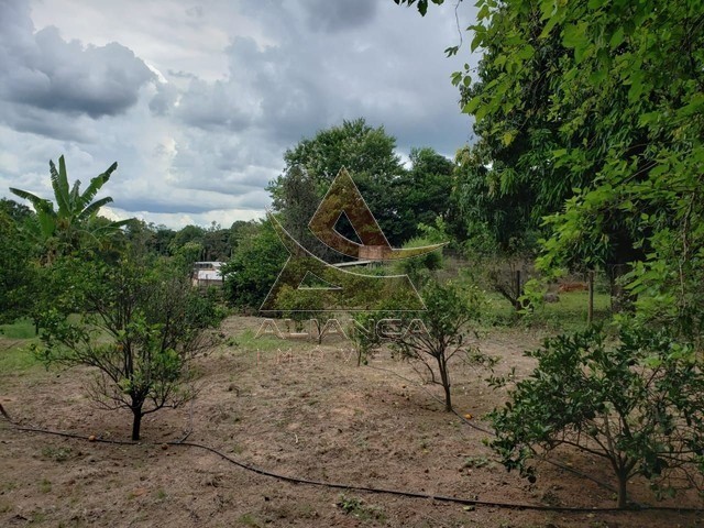 Aliança Imóveis - Imobiliária em Ribeirão Preto - SP - Chácara - Zona Rural - Cajuru 