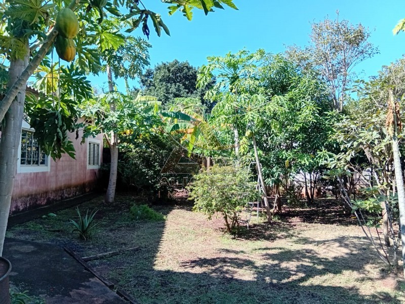 Aliança Imóveis - Imobiliária em Ribeirão Preto - SP - Chácara - Portal dos Ipês - Ribeirão Preto