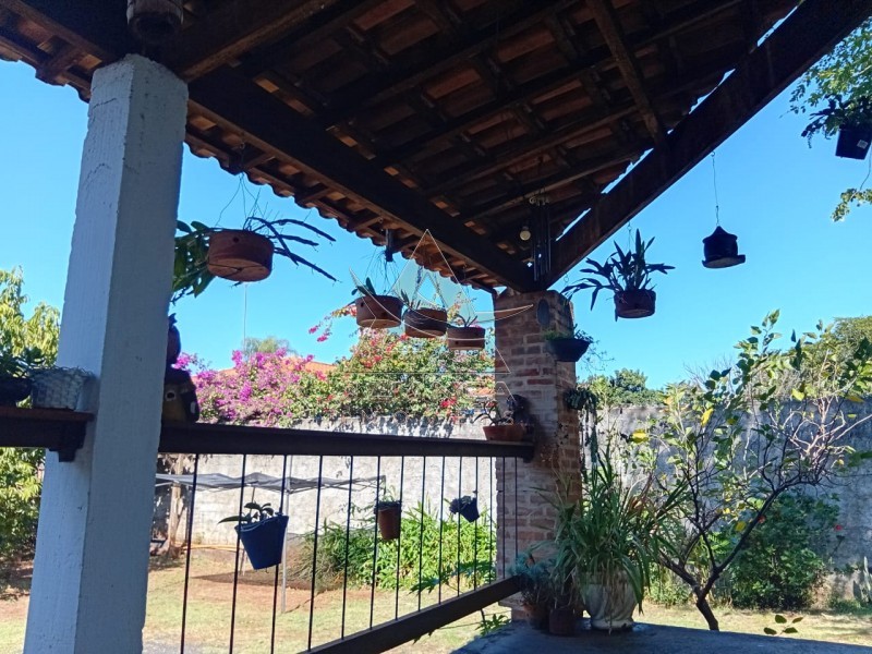 Aliança Imóveis - Imobiliária em Ribeirão Preto - SP - Chácara - Portal dos Ipês - Ribeirão Preto
