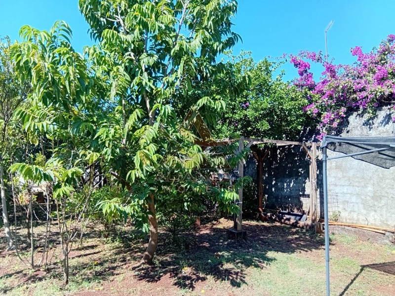 Aliança Imóveis - Imobiliária em Ribeirão Preto - SP - Chácara - Portal dos Ipês - Ribeirão Preto