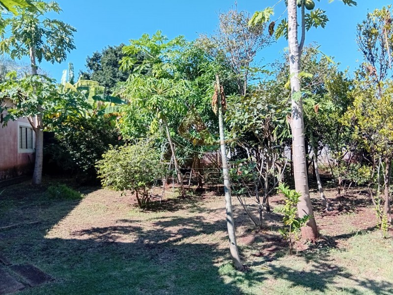 Aliança Imóveis - Imobiliária em Ribeirão Preto - SP - Chácara - Portal dos Ipês - Ribeirão Preto