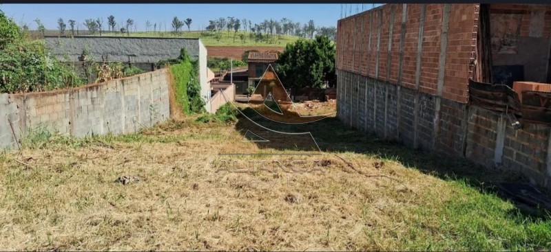 Aliança Imóveis - Imobiliária em Ribeirão Preto - SP - Terreno - Jardim Bela Vista - Ribeirão Preto