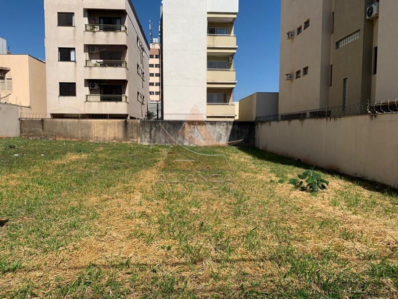 Terreno - Ana Maria - Ribeirão Preto