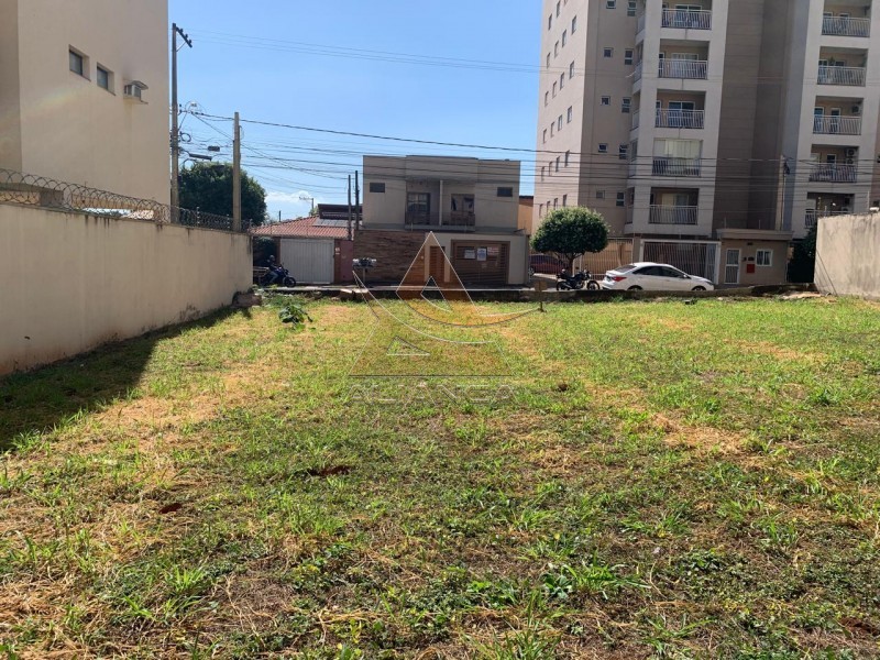 Aliança Imóveis - Imobiliária em Ribeirão Preto - SP - Terreno - Ana Maria - Ribeirão Preto