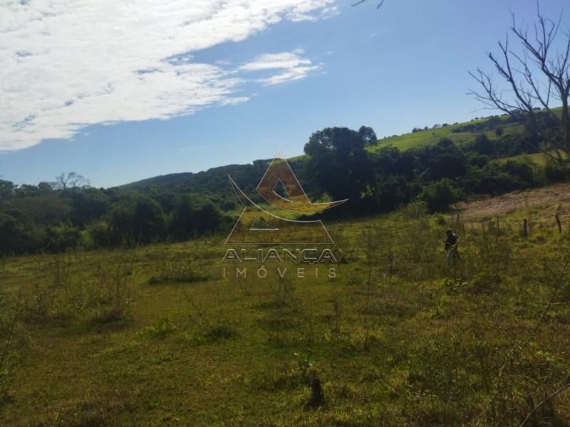 Aliança Imóveis - Imobiliária em Ribeirão Preto - SP - Sítio - Zona Rural - Mococa