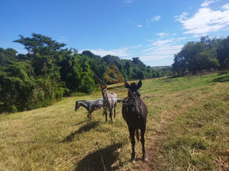 Aliança Imóveis - Imobiliária em Ribeirão Preto - SP - Sítio - Zona Rural - Mococa