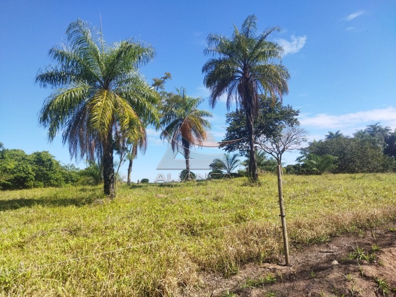 Aliança Imóveis - Imobiliária em Ribeirão Preto - SP - Sítio - Zona Rural - Mococa