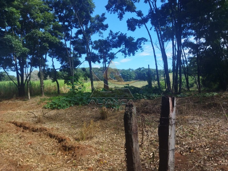 Aliança Imóveis - Imobiliária em Ribeirão Preto - SP - Sítio - Zona Rural - Mococa