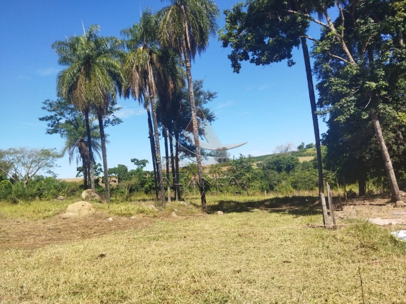 Aliança Imóveis - Imobiliária em Ribeirão Preto - SP - Sítio - Zona Rural - Mococa