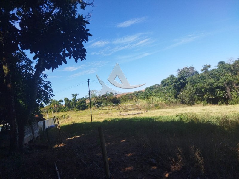 Aliança Imóveis - Imobiliária em Ribeirão Preto - SP - Sítio - Zona Rural - Mococa