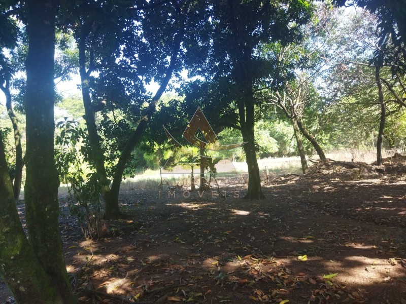 Aliança Imóveis - Imobiliária em Ribeirão Preto - SP - Sítio - Zona Rural - Mococa