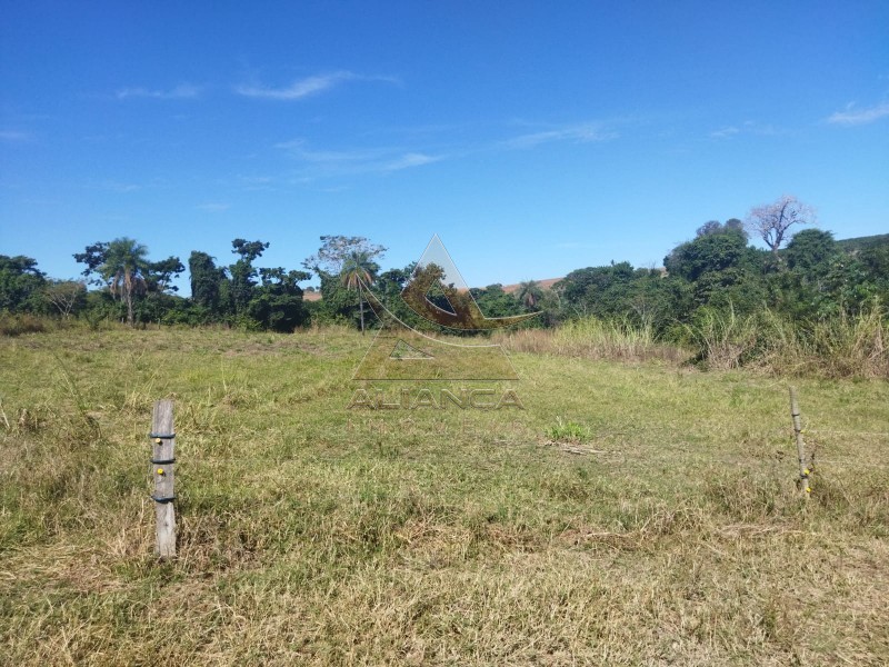 Aliança Imóveis - Imobiliária em Ribeirão Preto - SP - Sítio - Zona Rural - Mococa