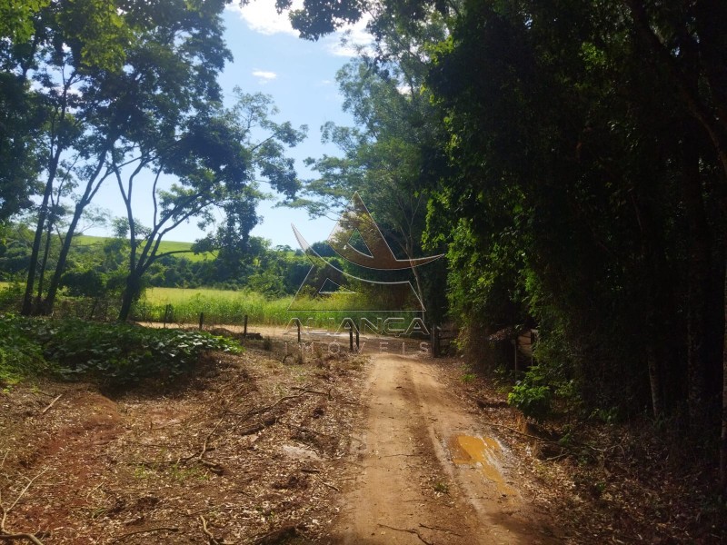 Aliança Imóveis - Imobiliária em Ribeirão Preto - SP - Sítio - Zona Rural - Mococa