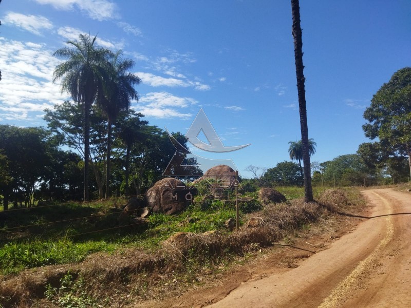 Aliança Imóveis - Imobiliária em Ribeirão Preto - SP - Sítio - Zona Rural - Mococa