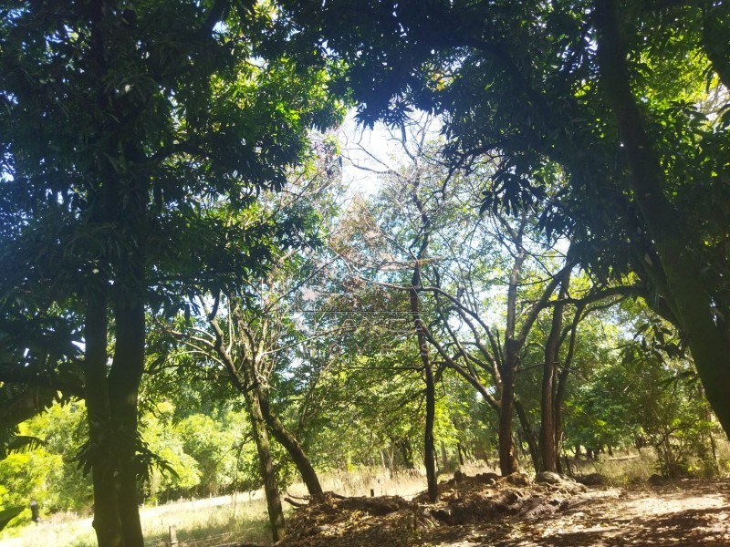 Aliança Imóveis - Imobiliária em Ribeirão Preto - SP - Sítio - Zona Rural - Mococa