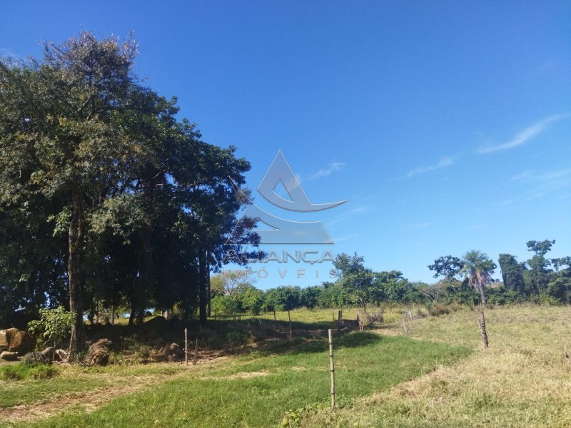 Aliança Imóveis - Imobiliária em Ribeirão Preto - SP - Sítio - Zona Rural - Mococa