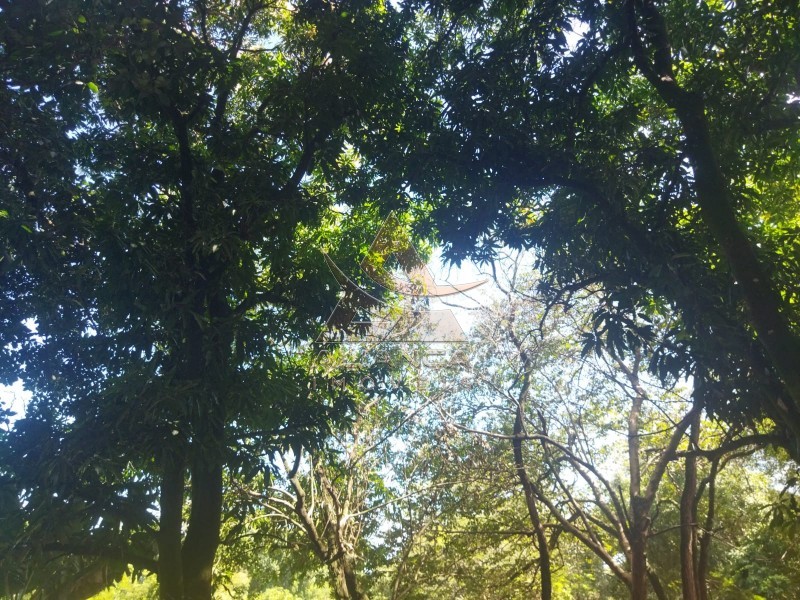 Aliança Imóveis - Imobiliária em Ribeirão Preto - SP - Sítio - Zona Rural - Mococa