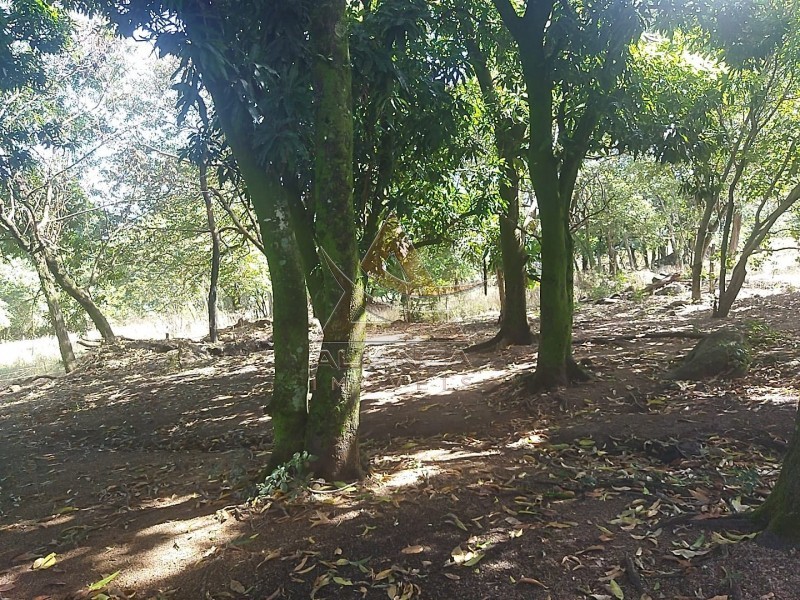 Aliança Imóveis - Imobiliária em Ribeirão Preto - SP - Sítio - Zona Rural - Mococa