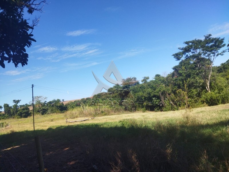 Aliança Imóveis - Imobiliária em Ribeirão Preto - SP - Sítio - Zona Rural - Mococa