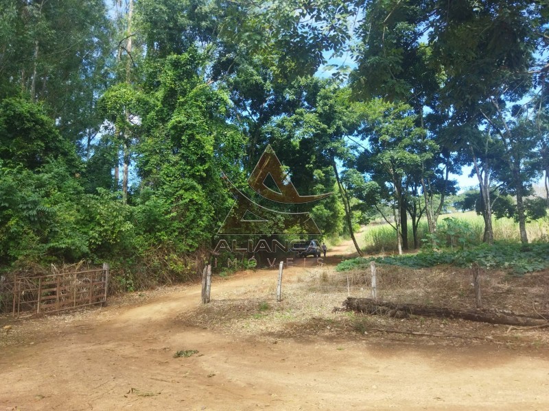 Aliança Imóveis - Imobiliária em Ribeirão Preto - SP - Sítio - Zona Rural - Mococa